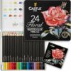 Castle Art Supplies Set di Matite Acquerellabili a Tema Botanico | 24 Vibranti Colori Selezionati | Disegna e Dipingi | Ideale per Artisti Adulti, Anche Idea Regalo | In Speciale Cofanetto di Latta – B096W1XY85