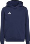 adidas Unisex – Bambini e Ragazzi Entrada 22 Sweat Hoodie – B09H6TSDLZ