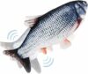 Nepfaivy Giocattolo Interattivo per Gatti, Pesce Elettrico con Erba Gatta, Simulazione Realistica del Pesce Che si Muove, Carpa – B08PPDW94F