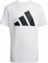 adidas Unisex – Bambini e Ragazzi Essentials Big Logo T-Shirt – B0CZTZ6XJY