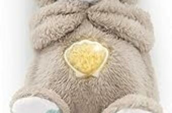 Fisher-Price Lontra Coccola & Relax – Carillon Neonati Succhietto con Movimento Respirazione – Luci e Suoni – Scoperte Sensoriali – Regalo per Neonati da 0+ Mesi, FXC66 – B07N1JP56L