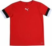 PUMA Teamrise Jersey Jr Shirt Unisex – Bambini e Ragazzi (Pacco da 1) – B0916DFQS4