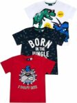 Chicco T-Shirt Bambino, Set di 3 Magliette a Manica Corta, in 100% Cotone, Ideali per la Primavera e L’Estate, Abbigliamento Bambini e Ragazzi – B0BPYF5KXS