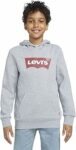 Levi’s Screenprint Batwing Pullover Felpa con Cappuccio Ragazzo – B07YCNWH7T