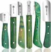 FJ – Kit spelacavi professionale (set da 6 pezzi) per cani e animali domestici, manico in legno con lama in acciaio inox (destrorsi) (verde) – B097NC6299