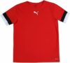 PUMA Teamrise Jersey Jr Shirt Unisex – Bambini e Ragazzi (Pacco da 1) – B0916DFQS4