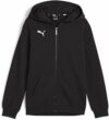 PUMA Teamgoal Casuals Hooded Jacket Jr Sudore Bambini e Ragazzi – B0C4PC7XFF