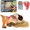 Primal Hatch Jurassic World, Dinosauro Interattivo con Uovo, Fai Schiudere e Addestra il Tuo Cucciolo di Dinosauro con Oltre 100 Suoni e Reazioni, Giocattolo per Bambini e Bambine, 5+ Anni – B0DSL9L1ZS