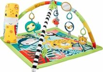 Fisher-Price – Palestrina Sensoriale Cuccioli della Natura 3-in-1, Tappetino per Giocare dalla Nascita Fino ai Primi Passi con 5 Giochi sensoriali, luci, Suoni, Giocattolo per Neonati, HJW08 – B0B5HWPH5F