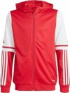 adidas Unisex – Bambini e Ragazzi SQUADRA25 Hoody Kids – B0CZ7GRSGJ