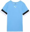 PUMA Teamrise Jersey Jr Shirt Unisex – Bambini e Ragazzi (Pacco da 1) – B096BG1Z57