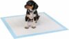 lionto Tappetini per cuccioli e cani, pads di allenamento a 6 strati con strisce adesive, 50 pezzi 60×60 cm, impermeabili grazie all’alta capacità di assorbimento per animali incontinenti, blu/bianco – B0C5RDN8WS
