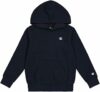 Champion Legacy Graphic Shop B (306837) – Ultra-Light Soft Compact Powerblend Fleece Felpa con Cappuccio Bambini e Ragazzi (Pacco da 1) – B0BN6H8W75