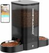 HoneyGuaridan 5L Distributore Automatico Cibo Gatti Adatto a Due Gatti, Dispenser Crocchette Gatto Con 2.4G/5G WiFi, Programmabile 6 Pasti al Giorno, Registrazione Vocale 10s, Doppia Alimentazione – B0FNWHXP1V