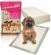 DETERMONDO 30 Tappetini Igienici per Cani 60×90 Traversine Super Assorbenti con Adesivo Antiscivolo Ideali per Addestramento Cuccioli e Animali Domestici Neutralizza Odori ed Evita le perdite – B0CH78P1BV