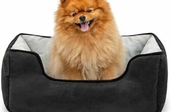 lionto Cuccia Cane 2-in-1 Effetto Scamosciato, 60 x 50 cm, Nero | Cuccia reversibile resistente con ingresso basso confortevole e materiali facili da pulire per cani e gatti, lavabile – B082XZSW14