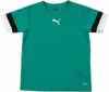 PUMA Teamrise Jersey Jr Shirt Unisex – Bambini e Ragazzi (Pacco da 1) – B0916C2FD8