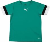 PUMA Teamrise Jersey Jr Shirt Unisex – Bambini e Ragazzi (Pacco da 1) – B0916C2FD8