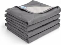 Nobleza Copridivano Impermeabile per Animali 176x76cm, Coperta Impermeabile per Cani, Telo Divano Antiscivolo e Super Facile da Pulire (Peli Inclusi), Grigio – B0FLCJTG6S