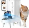 PETKIT YumShare Solo 2 Distributore Automatico di Cibo per Gatti con Telecamera HD 1080p, Riconoscimento Multiplo Gatti, Funzioni AI, Wi-Fi 2.4/5 GHz, Capacità 3L, Ciotola in Acciaio Inossidabile – B0GSZ7CWWH