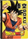 DRAGON BALL – Diario Scuola Ufficiale Dragon Ball, Diario Scolastico 12 Mesi, Ideale per la Scuola Elementare, Copertina Imbottita e 320 Pagine Interne Stampate a Colori, Idea Regalo Bambini, 13×17,8H – B0GXBBGNML