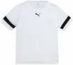 PUMA Teamrise Jersey Jr Shirt Unisex – Bambini e Ragazzi (Pacco da 1) – B0916DM1M8