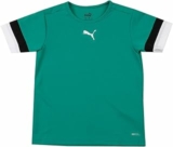 PUMA Teamrise Jersey Jr Shirt Unisex – Bambini e Ragazzi (Pacco da 1) – B0916C2FD8