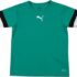 PUMA Teamrise Jersey Jr Shirt Unisex – Bambini e Ragazzi (Pacco da 1) – B0916DDN29