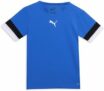 PUMA Teamrise Jersey Jr Shirt Unisex – Bambini e Ragazzi (Pacco da 1) – B0916CH9GW