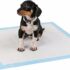 DETERMONDO 30 Tappetini Igienici per Cani 60×90 Traversine Super Assorbenti con Adesivo Antiscivolo Ideali per Addestramento Cuccioli e Animali Domestici Neutralizza Odori ed Evita le perdite – B0CH78P1BV