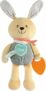 Chicco My Sweet Doudou Congilietto Coccolone, Morbido Coniglietto Realizzato con Diversi Tessuti, con Carotina in Plastica Morbida per Dentizione, Giochi Bambino, 0 Mesi+ – B0C2Z8938S