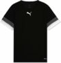 PUMA Teamrise Jersey Jr Shirt Unisex – Bambini e Ragazzi (Pacco da 1) – B0916DDN29