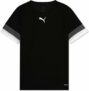 PUMA Teamrise Jersey Jr Shirt Unisex – Bambini e Ragazzi (Pacco da 1) – B0916DDN29