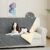 DUJUIKE Copridivano 100% impermeabile per cani, coperta per animali domestici, protezione per mobili per bambini e animali domestici, con fondo antiscivolo, per 3 posti (Grigio, 132 x 208 cm) – B0BRC99RCC
