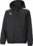 PUMA Teamgoal Allweather Jacket Jr Giacca in poliestere Unisex – Bambini e ragazzi (Pacco da 1) – B0915WJF1Z