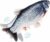 Nepfaivy Giocattolo Interattivo per Gatti, Pesce Elettrico con Erba Gatta, Simulazione Realistica del Pesce Che si Muove, Carpa – B08PPDW94F