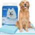 Best Friend PìStoP Extra+ traversine usa e getta. Extra massima assorbenza. Tappetini igienici per cani 60x90cm. Confezione 30 pz Monouso Antistrappo e Antiodore. Cani taglia piccola, media e grande – B07CXFVCXY
