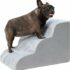 Amazon Basics Cuccia per Animali Domestici a Due Porte con Caricamento dall’alto da 23 Pollici L 58 x P 38 x H 33 cm, Cane Gatto, Blu – B00OP6SVJW