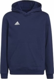 adidas Unisex – Bambini e Ragazzi Entrada 22 Sweat Hoodie – B09H6TSDLZ