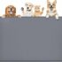 Galatée Scale Per Animali Domestici, Rampa Per Animali Domestici Rimovibile Lavabile, Gradini Per Cani In Schiuma Ad Alta Densità 3 Livelli Scala Per Animali Domestici（Grigio） – B09DTV5NC6