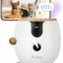 Yaheetech Recinto per Animali Domestici, 8 Pannelli Altezza 60 cm, Pieghevole con Porta per Interno ed Esterno, in Acciaio, per Cani, Cuccioli, Gatti e Conigli – B0FVX24NVX