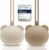 CAJA Porta ciuccio Set 2 pz Custodia in silicone – B0CTH7B73P