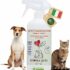 Generatore di Ozono Purificatore Aria per Casa, Bagno e Animali – Argento | Ozonizzatore compatto per odori in ambienti, bagno e zona animali domestici; facile da usare e salvaspazio – B08ZRYJ6JW