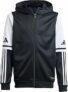 adidas Unisex – Bambini e Ragazzi SQUADRA25 Hoody Kids – B0CZ7GNT32