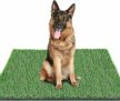 80 * 100 cm Lettiera per cani con erba sintetica per esterni, lettiera per cani per casa, lettiera per cani per appartamento, lettiera per cani per balcone, tappetino riutilizzabile per – B0F9KJNWLZ