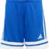 PUMA Teamrise Jersey Jr Shirt Unisex – Bambini e Ragazzi (Pacco da 1) – B0916DM1M8