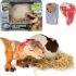 Fisher-Price Zebra Primi Passi, Italiano | Gioca spingendo e camminando, musica educativa, attività, abilità motorie di base e complesse, bambini dai 6 mesi, HBB66 – B08WKJ9V96